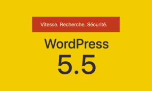 WordPress 5.5 : Les nouveautés de la mise à jour